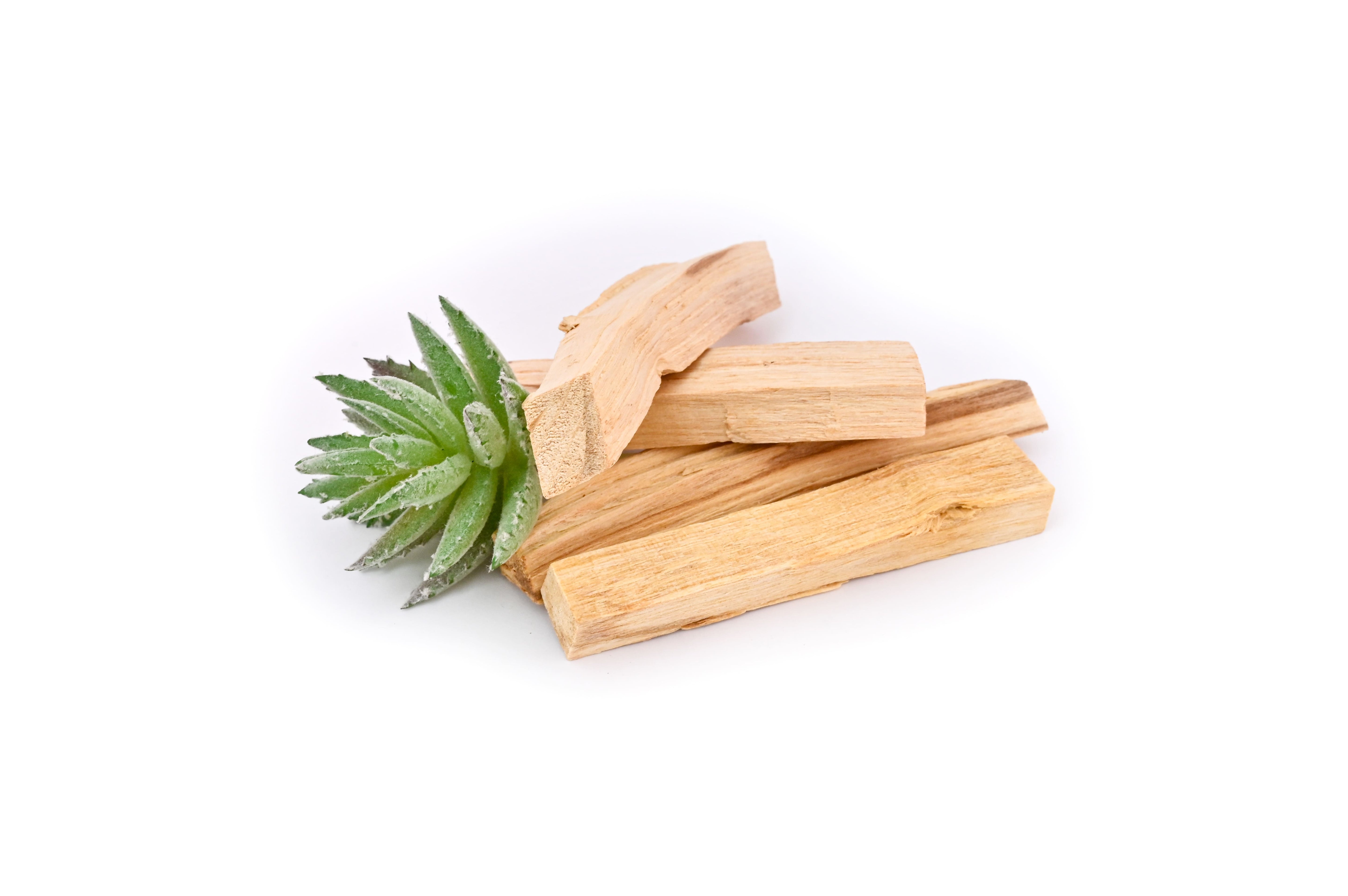 Premium Palo Santo Sticks (holy wood)